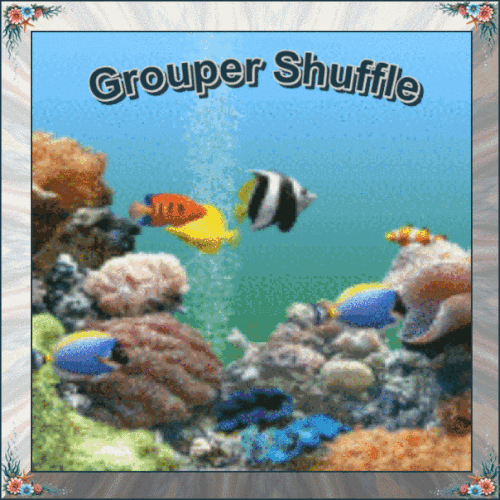 GROUPER SHUFFLE.gif