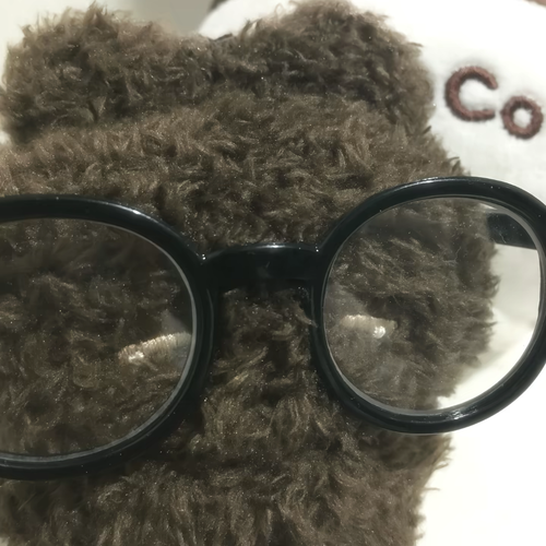 棕猫.png