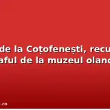 Coiful de la Coțofenești, recuperat după jaful de la muzeul olandez
