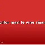 Farmaciilor mari le vine râsul