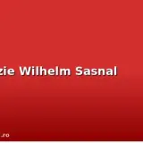 Wilhelm Sas: O analiză a esteticii nihiliste și a simbolismului vizual