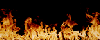 firee.gif