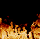 firee