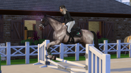 04 05 26 10 37 40 PM.png