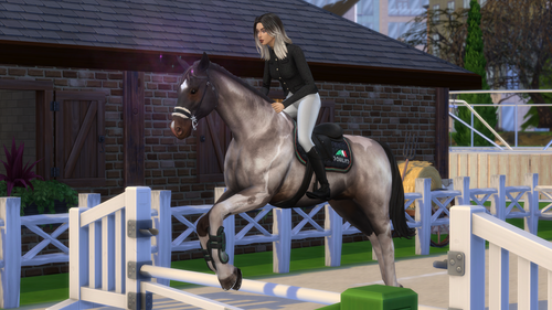 04 05 26 10 37 28 PM.png