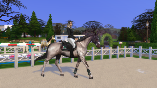 04 05 26 10 40 45 PM.png