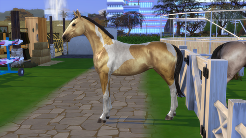 04 05 26 10 35 28 PM.png