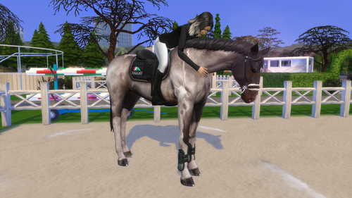 04 05 26 10 39 22 PM.png