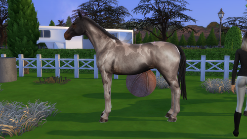 04 05 26 10 33 09 PM.png