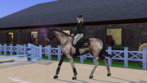 04 05 26 10 40 31 PM.png