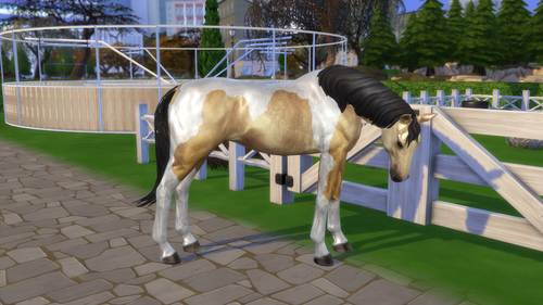 04 05 26 10 41 50 PM.png