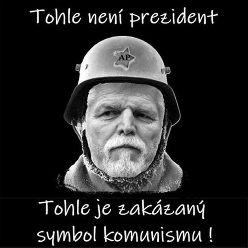 pávek.jpg