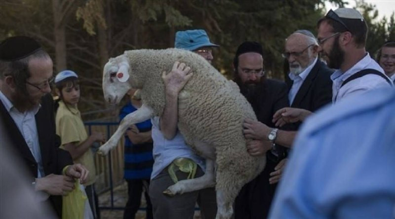 الأعلى منذ 1967... سبع محاولات لإدخال "قرابين" للمسجد الأقصى خلال "الفصح اليهودي" هذا العام...