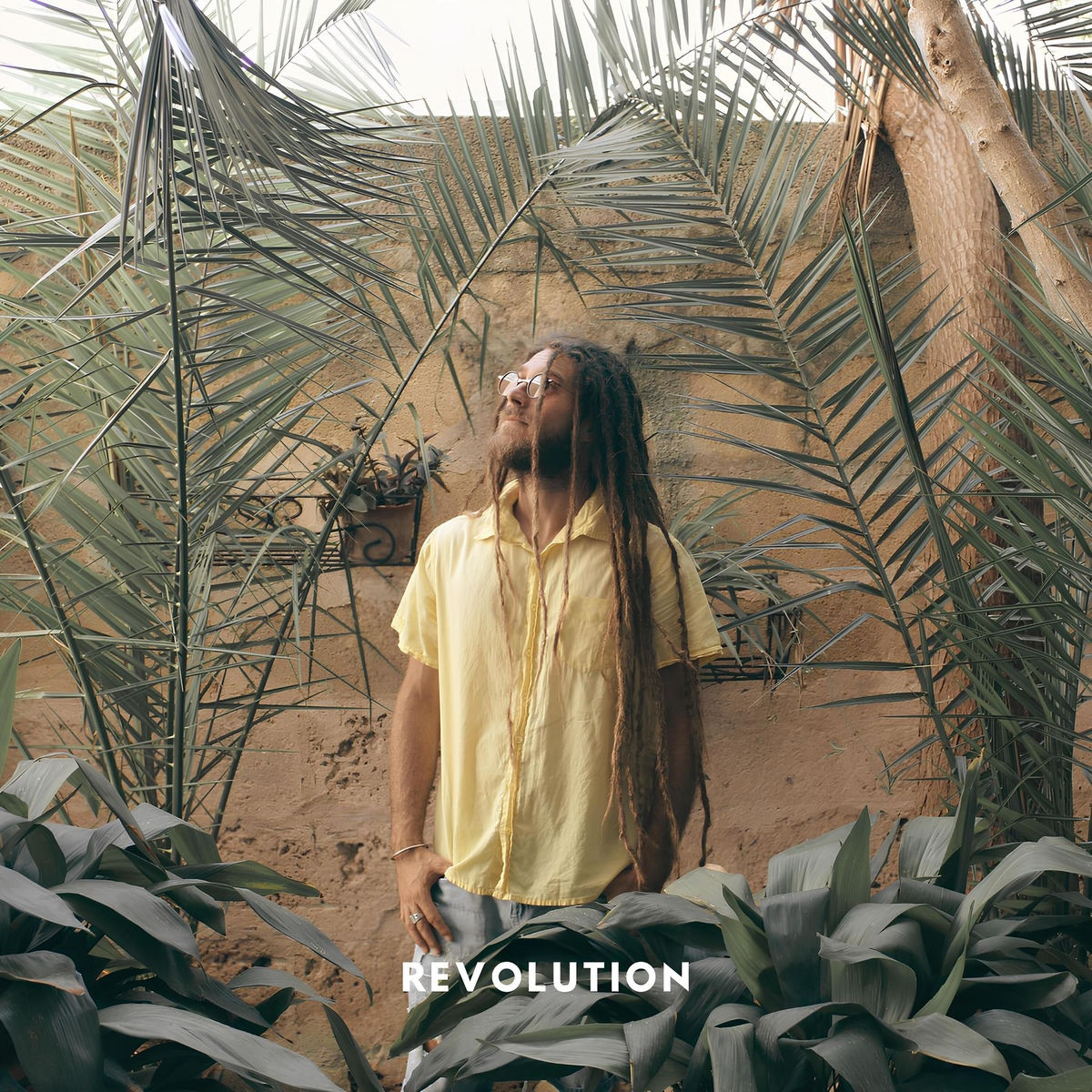 Brisco - Revolution