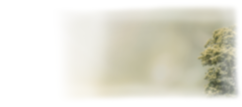 Hero 01 (bg).png