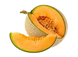muskmelon.png