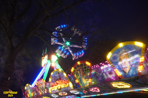 DSC08619 Watermarked.jpg