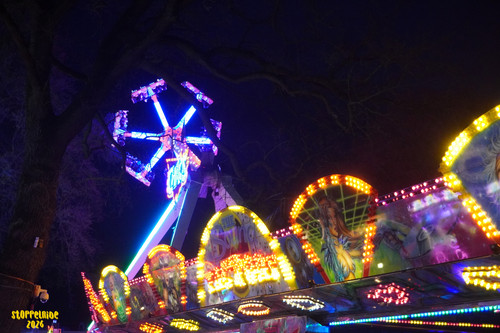 DSC08622 Watermarked.jpg