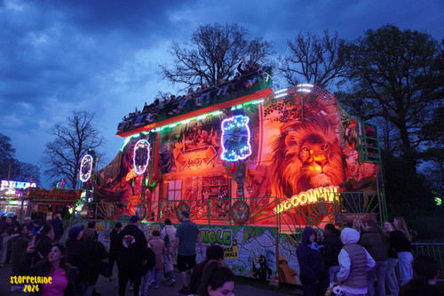 DSC08554 Watermarked.jpg