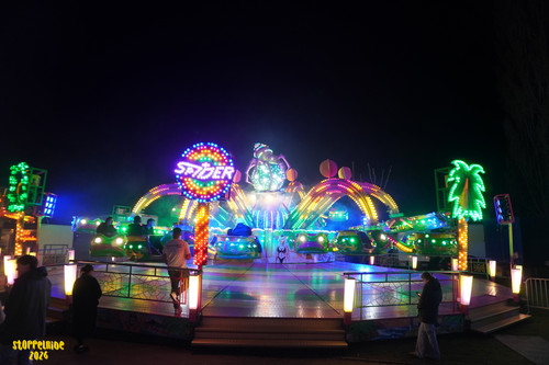 DSC08756 Watermarked.jpg