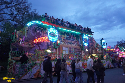 DSC08547 Watermarked.jpg