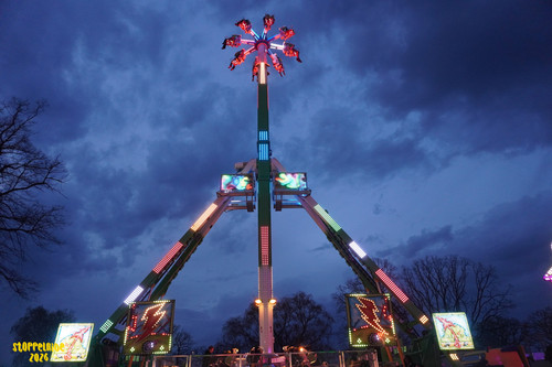 DSC08582 Watermarked.jpg