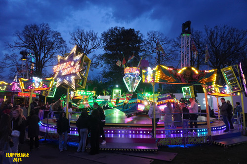 DSC08565 Watermarked.jpg