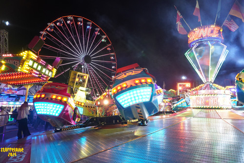 DSC08666 Watermarked.jpg