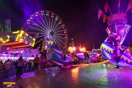 DSC08661 Watermarked.jpg