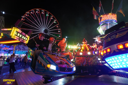 DSC08667 Watermarked.jpg