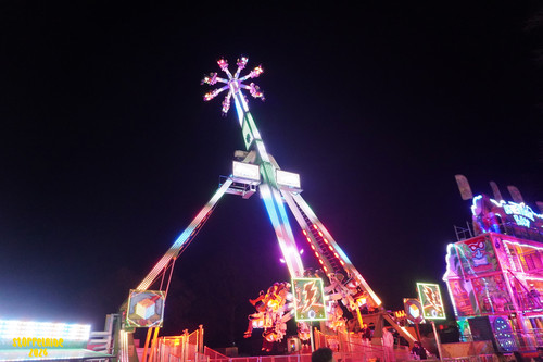 DSC08737 Watermarked.jpg