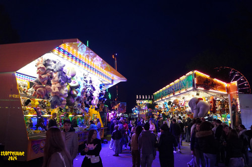 DSC08618 Watermarked.jpg