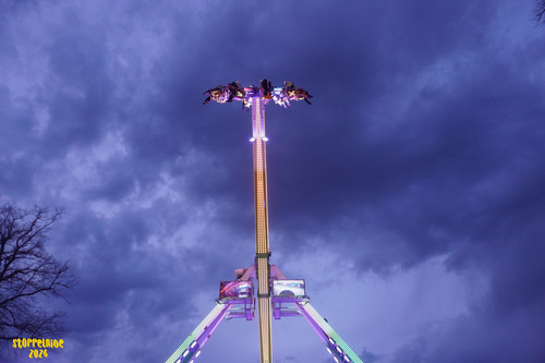 DSC08575 Watermarked.jpg