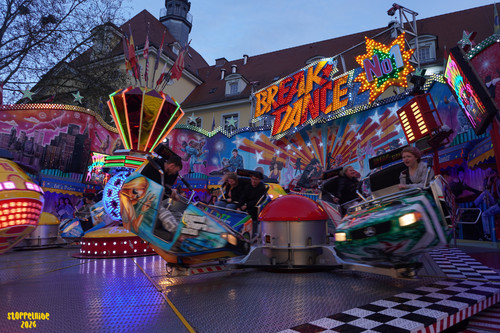 DSC08824 Watermarked.jpg