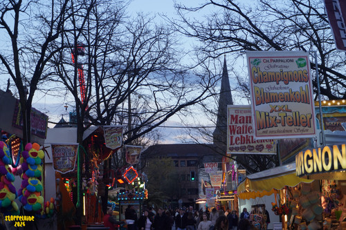 DSC08845 Watermarked.jpg