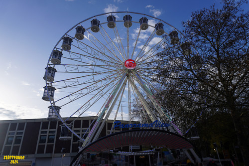 DSC08768 Watermarked.jpg