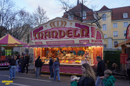 DSC08794 Watermarked.jpg