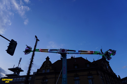 DSC08788 Watermarked.jpg