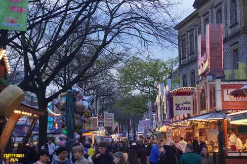 DSC08847 Watermarked.jpg