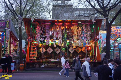 DSC08834 Watermarked.jpg