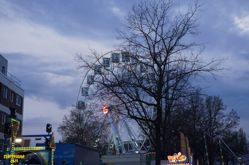 DSC08854 Watermarked.jpg