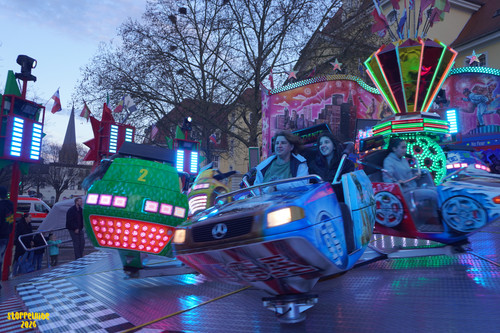 DSC08811 Watermarked.jpg