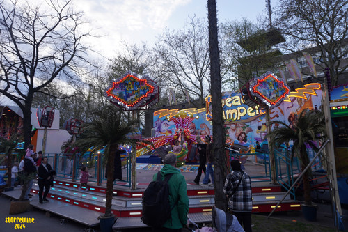 DSC08798 Watermarked.jpg