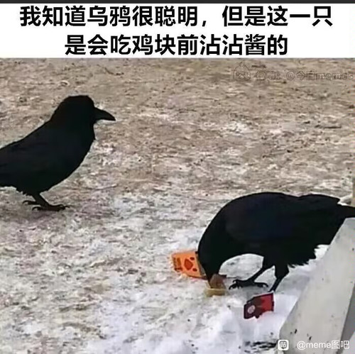 1000003862.jpg