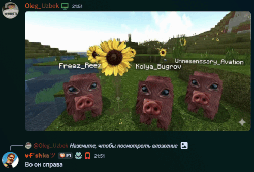 dacxzasd.gif