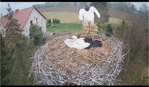 MWSnap671.jpg