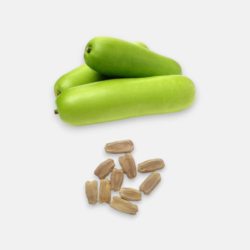 Bottle Gourd Seeds.jpg