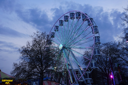 DSC08861 Watermarked.jpg