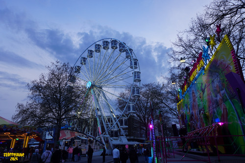 DSC08858 Watermarked.jpg