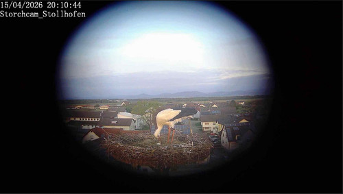MWSnap081.jpg